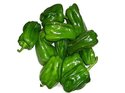 x麻辣椒(份)约250g